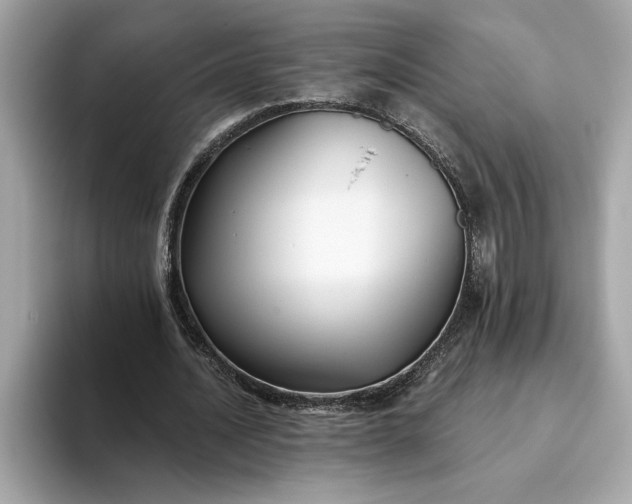 X0000093450628200710261102