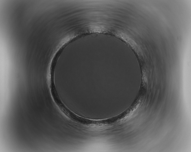 X0000093450630200710261102