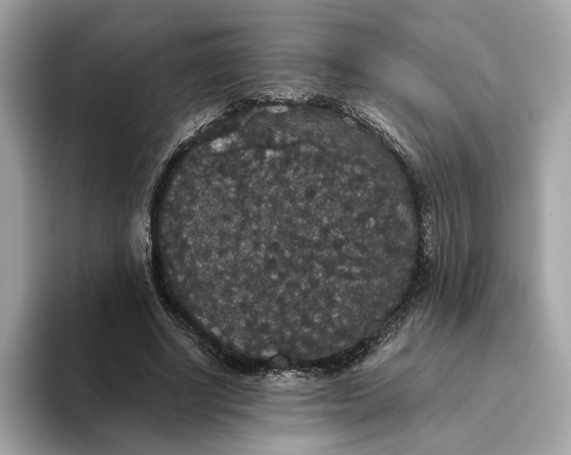 X0000093450634200710261102