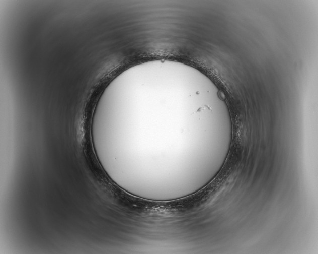 X0000093450635200710261102