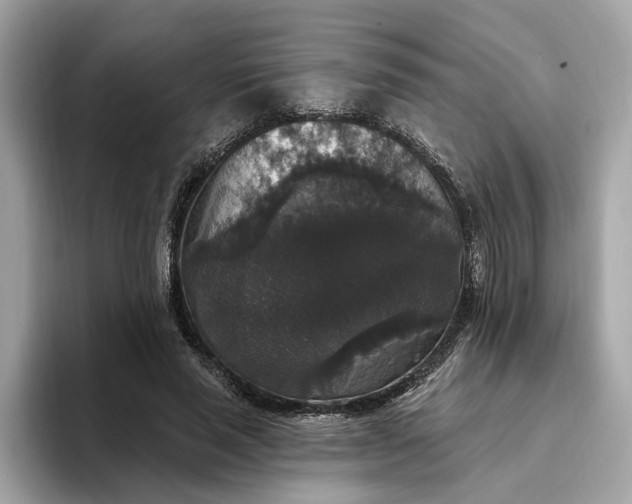 X0000093450637200710261102