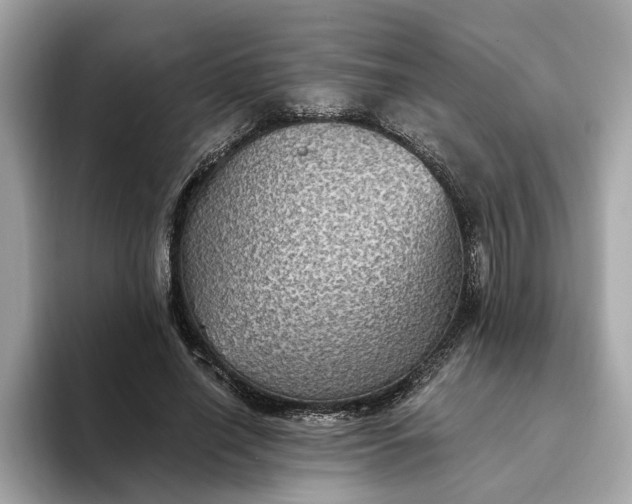 X0000093450638200710261102