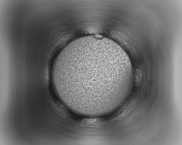 X0000093450639200710261102