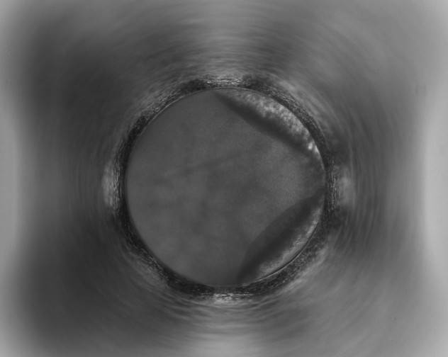 X0000093450641200710261102