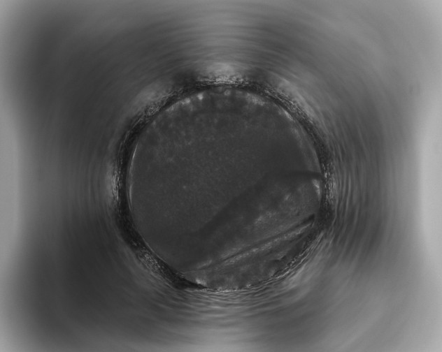 X0000093450643200710261102