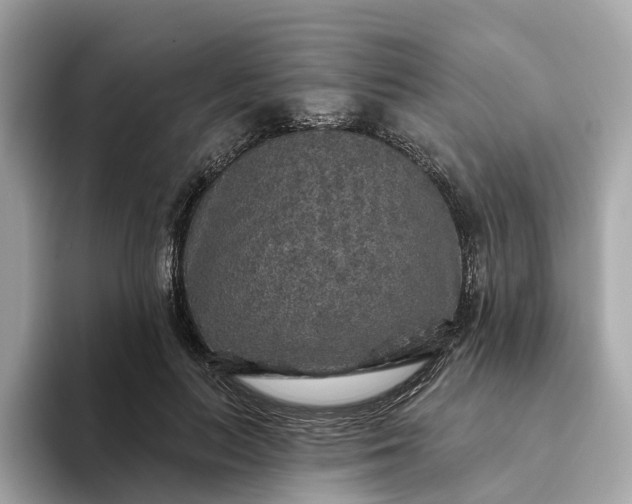 X0000093450647200710261102