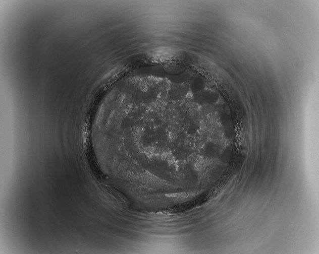 X0000093450648200710261102