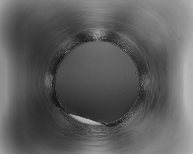 X0000093450650200710261102