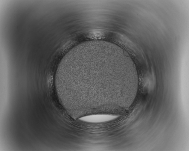 X0000093450652200710261102