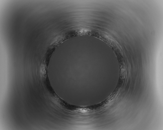 X0000093450654200710261102