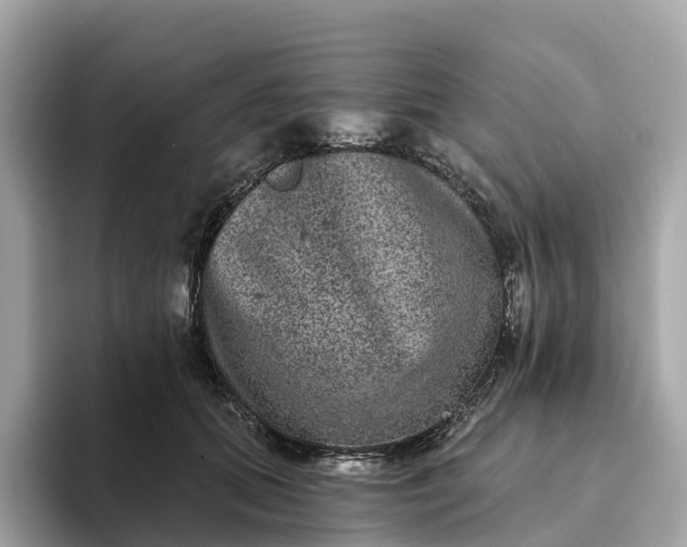 X0000093450655200710261102