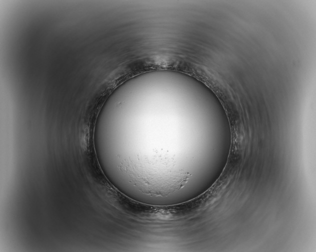 X0000093450656200710261102