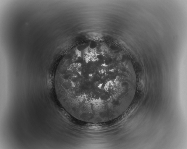 X0000093450658200710261102