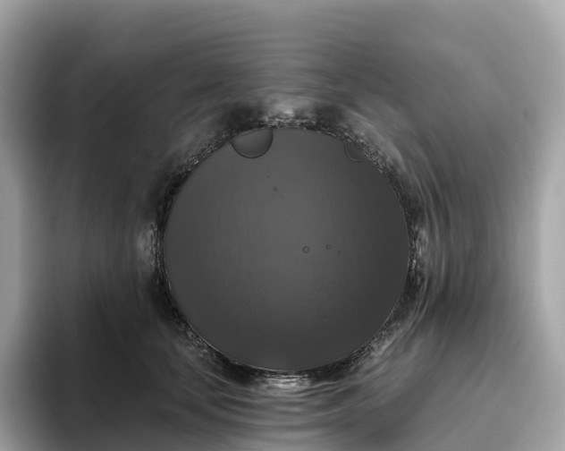 X0000093450659200710261102