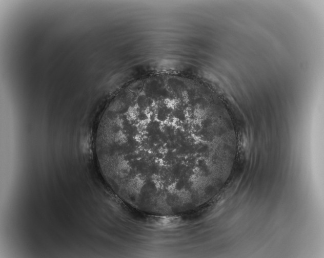 X0000093450663200710261102