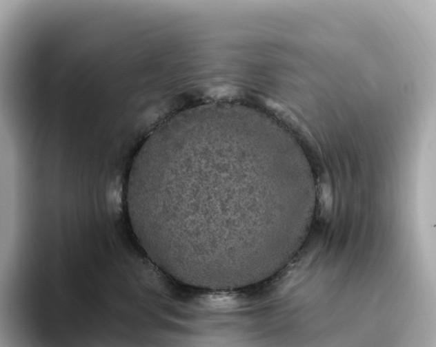 X0000093450668200710261102