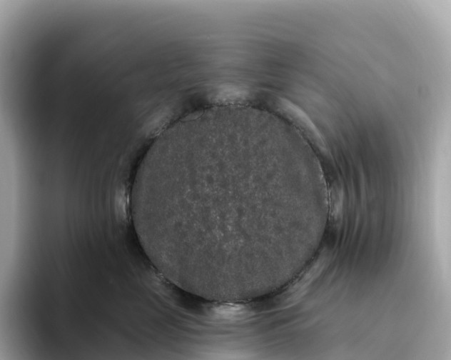 X0000093450669200710261102