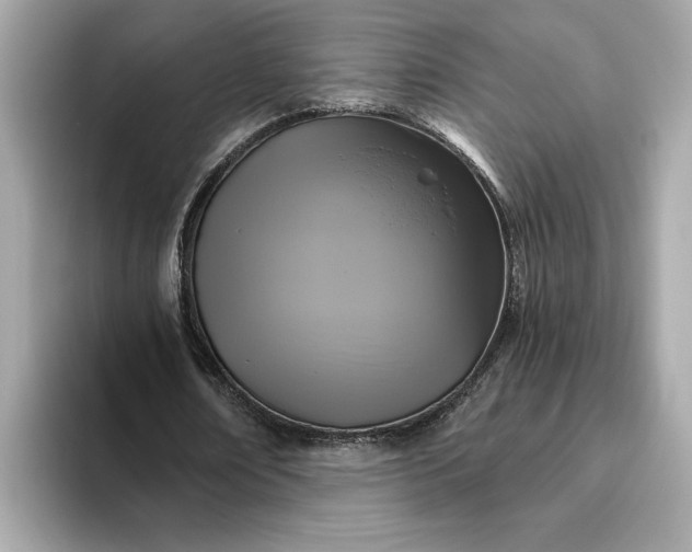 X0000093450674200710261101