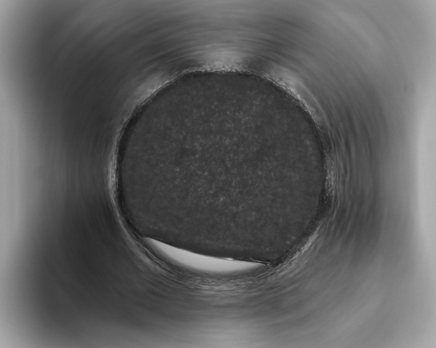 X0000093450677200710261101