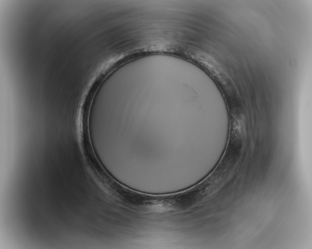 X0000093450678200710261101