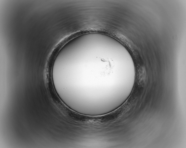 X0000093450680200710261101