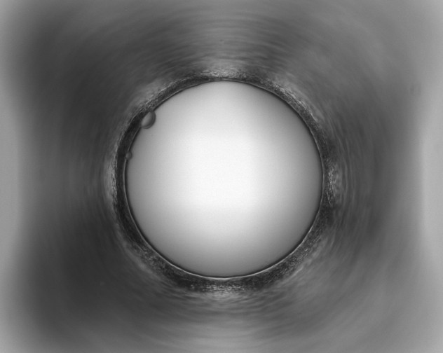 X0000093450682200710261101