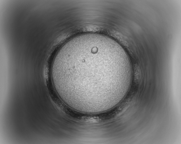 X0000093450683200710261101