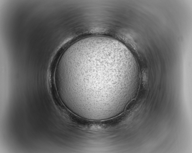 X0000093450684200710261101