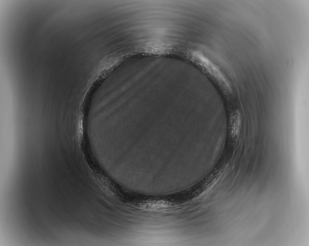 X0000093450685200710261101