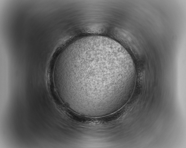 X0000093450688200710261101