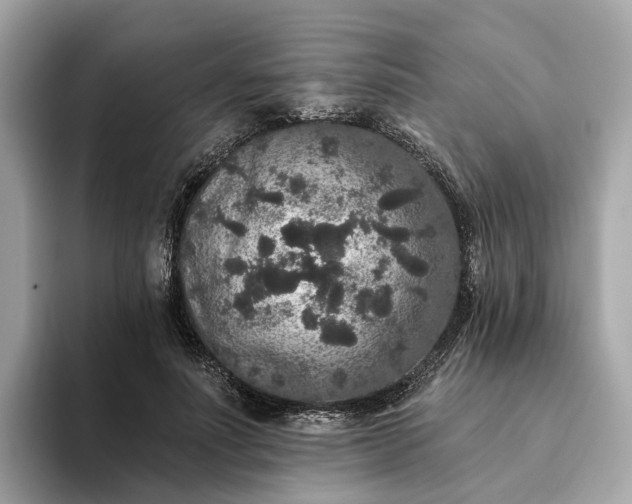 X0000093450691200710261101