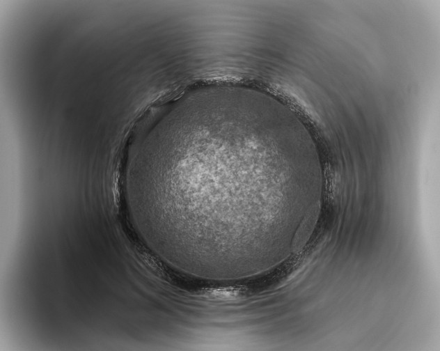 X0000093450692200710261101