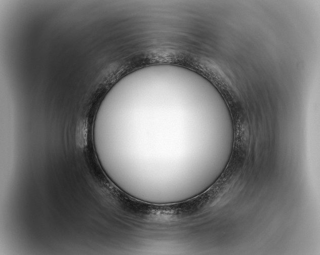 X0000093450694200710261101