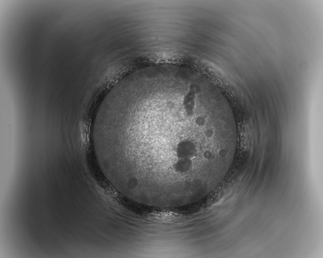 X0000093450695200710261101