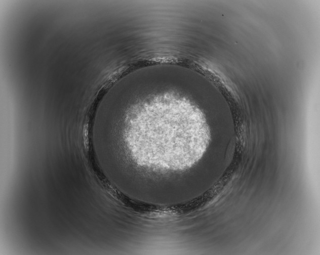 X0000093450696200710261101