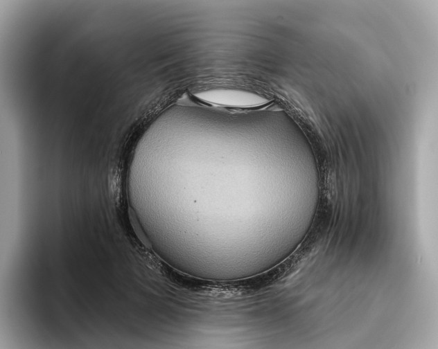 X0000093450697200710261101