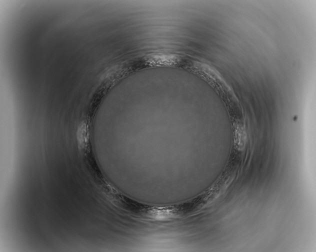 X0000093450701200710261101