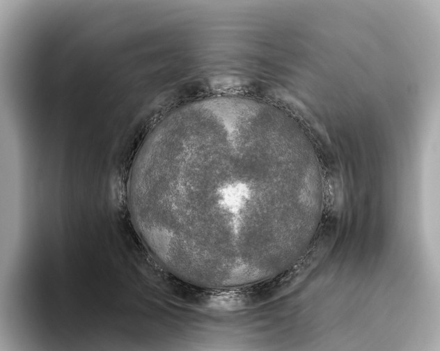 X0000093450705200710261101