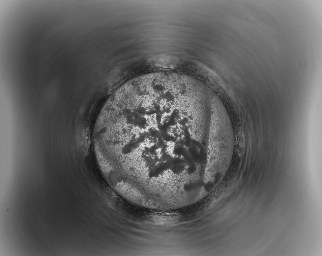 X0000093450707200710261101