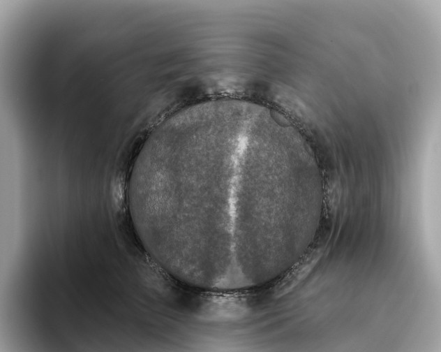 X0000093450709200710261101