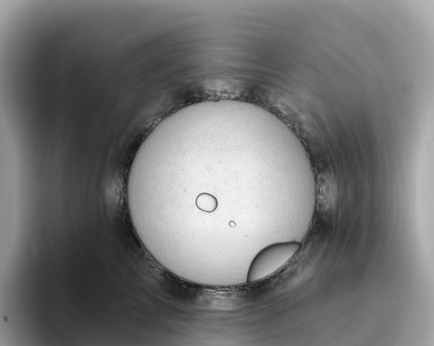 X0000093450713200710261101