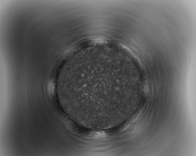 X0000093450715200710261101