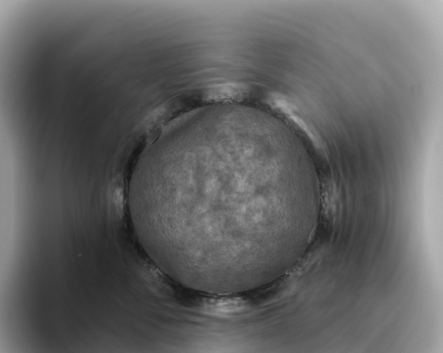 X0000093450716200710261101