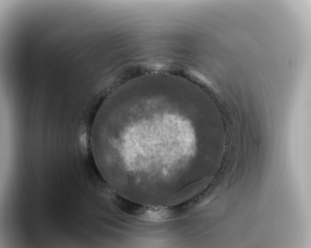 X0000093450720200710261101