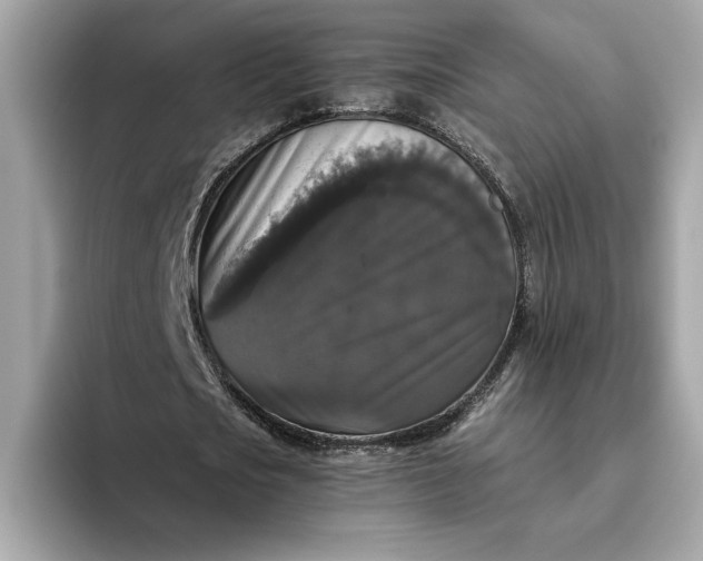 X0000093450721200710261100