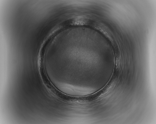 X0000093450722200710261100