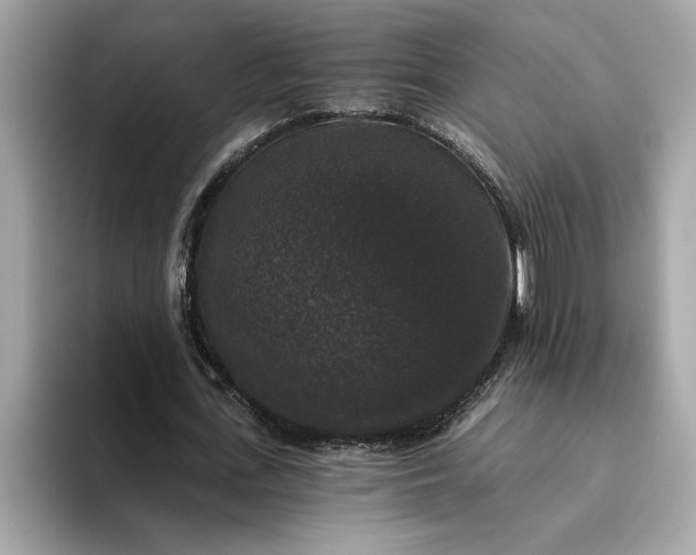 X0000093450723200710261100