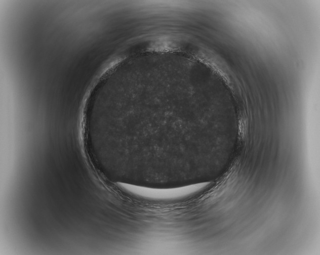 X0000093450724200710261100