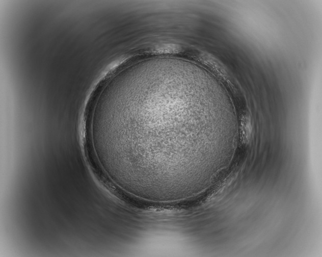 X0000093450726200710261100