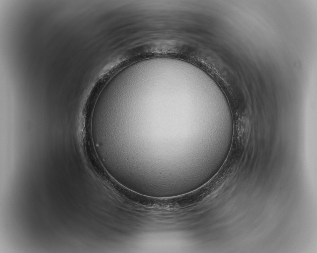 X0000093450727200710261100